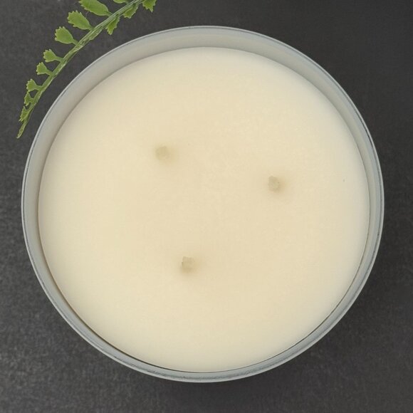 BBW Blue Verbena & Lime White Barn Bath & Body Works 3 Wick Candle - Picture 7 of 10